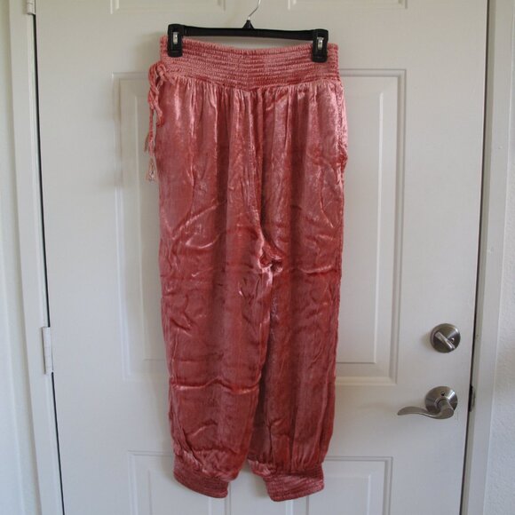 ANTHROPOLOGIE Rosie Coral Embroidered Velvet Joggers - Picture 4 of 9